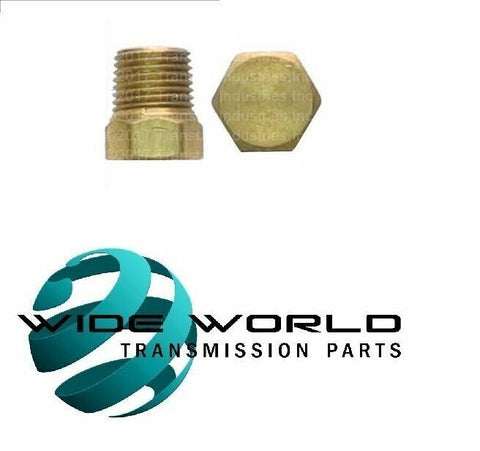 TC Plug 1/8" Hex Head Brass